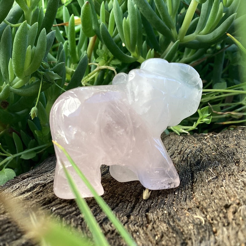 Rose Quartz Crystal Elephant 4.5 cm High-Hand Picked Imports