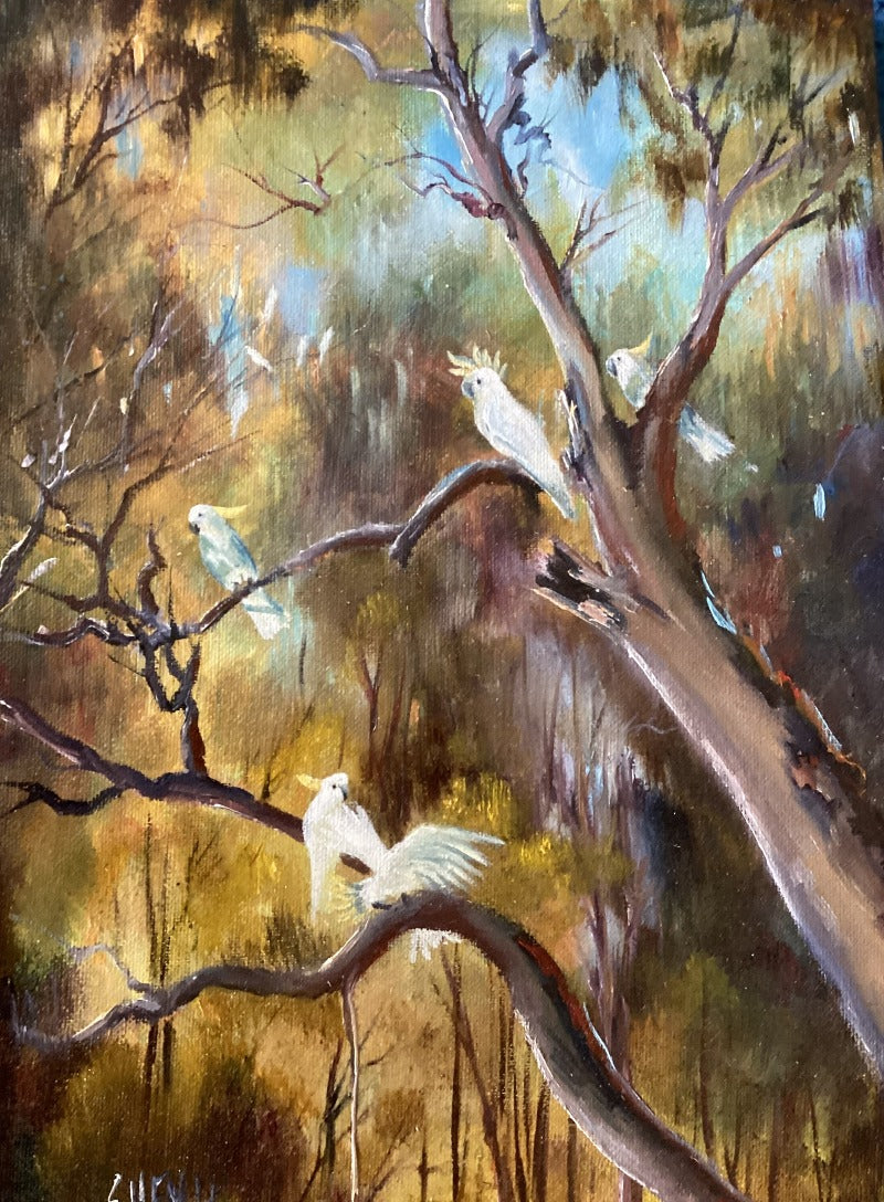 Cockatoos Oil on Canvas 10" x 14" By Susan Hend Russell-Hand Picked Imports