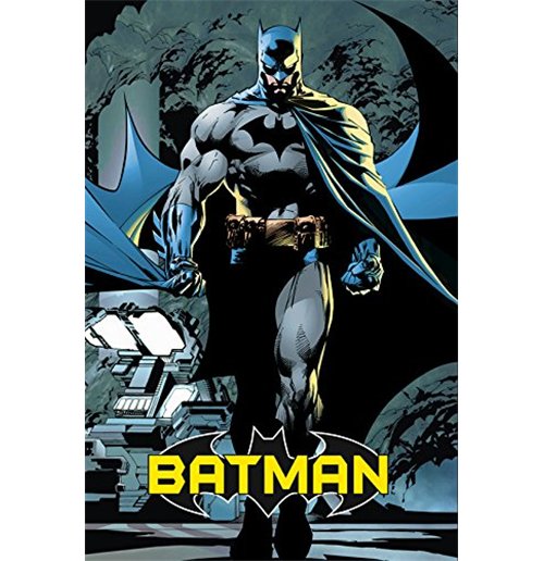 Batman Poster 61 X 91.5 cm-Hand Picked Imports