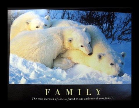 Polar Bears Family Poster 61 X 85 cm-Hand Picked Imports