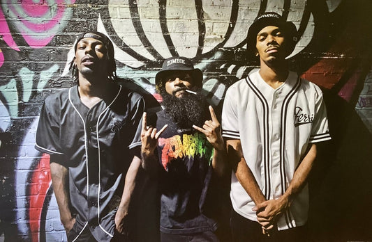 Flatbush Zombies Poster 61 X 91.5 cm-Hand Picked Imports