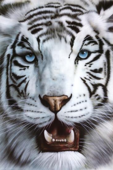 White Tiger Poster 61 X 91.5 cm-Hand Picked Imports